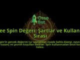 Free-Spin-Degeri-Sartlar-ve-Kullanim-Sirasi-overlay-1788259422.jpg